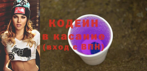 хмурый Алексин