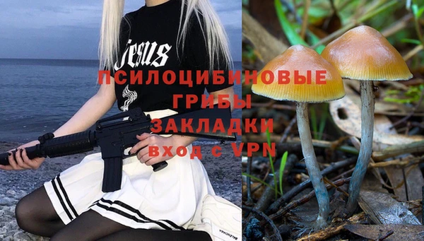 хмурый Алексин