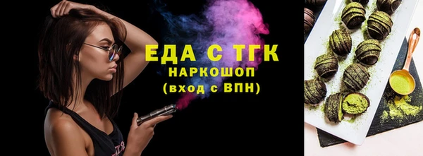 хмурый Алексин