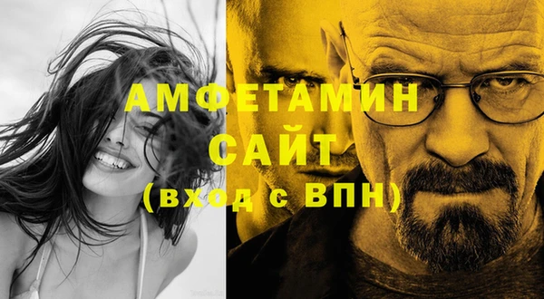 индика Алзамай