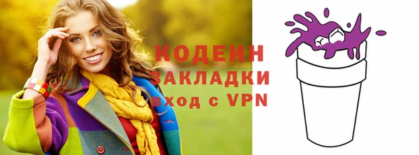 хмурый Алексин