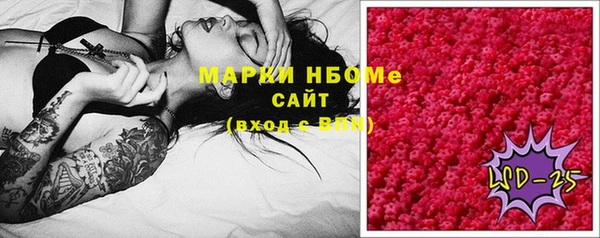 индика Алзамай