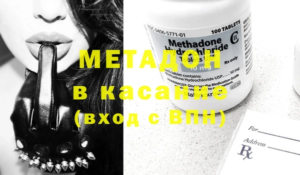 индика Алзамай