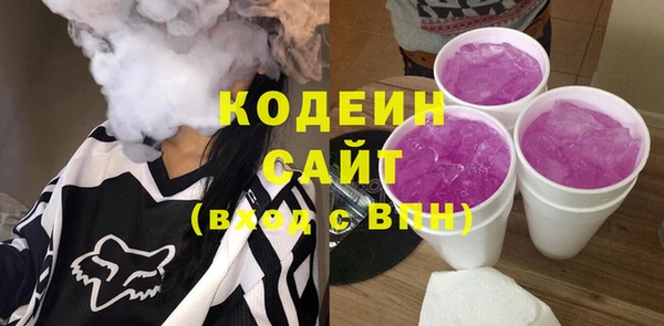 хмурый Алексин