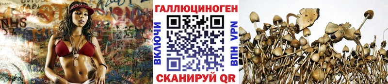 гидра зеркало  Малаховка  Псилоцибиновые грибы Magic Shrooms 